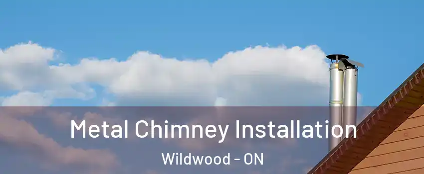 Metal Chimney Installation Wildwood - ON