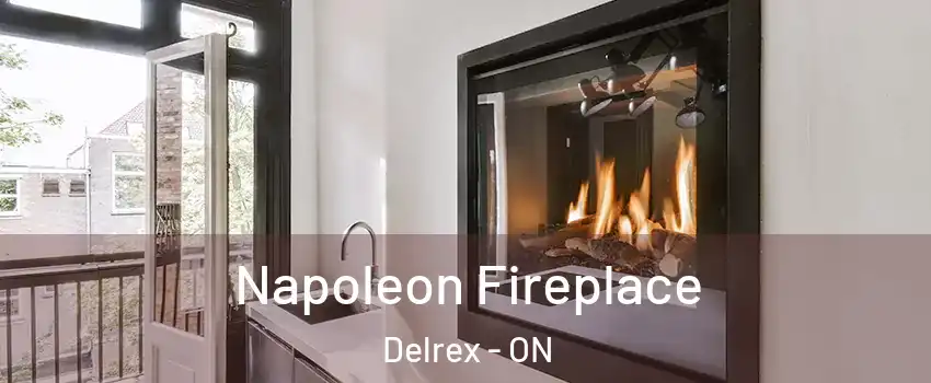  Napoleon Fireplace Delrex - ON