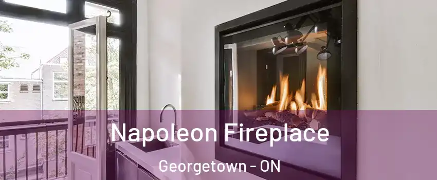 Napoleon Fireplace Georgetown - ON