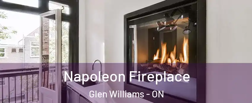 Napoleon Fireplace Glen Williams - ON