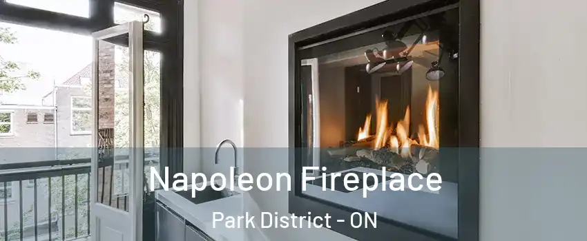 Napoleon Fireplace Park District - ON