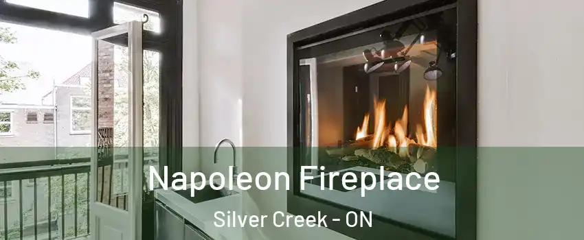 Napoleon Fireplace Silver Creek - ON