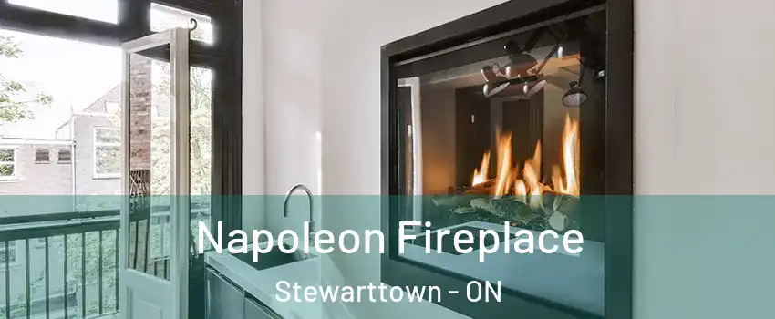Napoleon Fireplace Stewarttown - ON