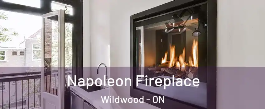 Napoleon Fireplace Wildwood - ON