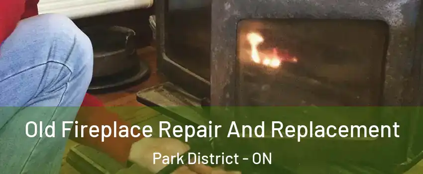 Old Fireplace Repair And Replacement Park District - ON