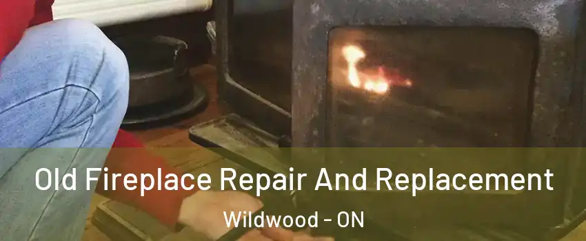  Old Fireplace Repair And Replacement Wildwood - ON