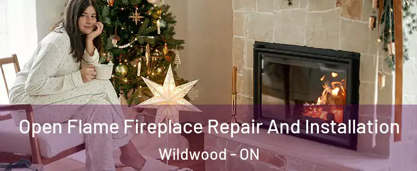  Open Flame Fireplace Repair And Installation Wildwood - ON