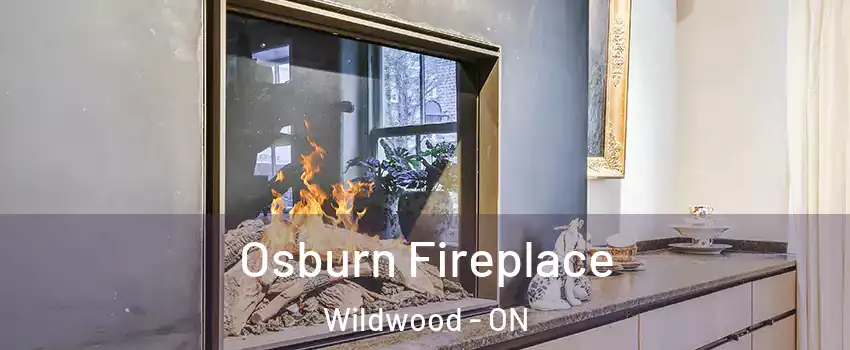Osburn Fireplace Wildwood - ON