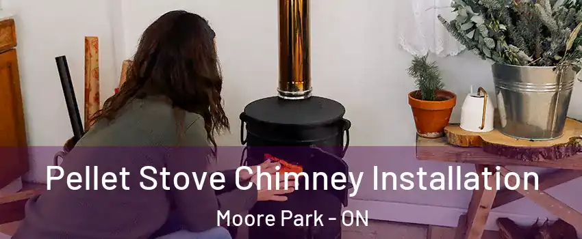 Pellet Stove Chimney Installation Moore Park - ON