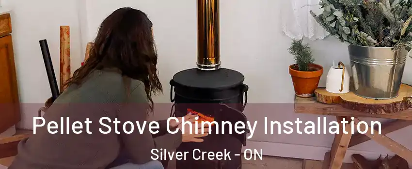 Pellet Stove Chimney Installation Silver Creek - ON