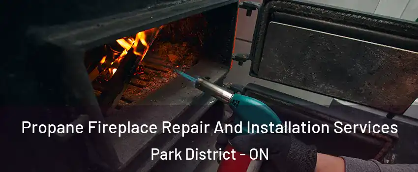 Propane Fireplace Repair And Installation Services Park District - ON