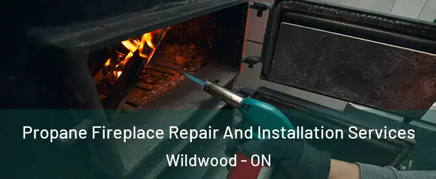 Propane Fireplace Repair And Installation Services Wildwood - ON