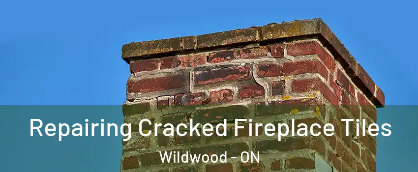 Repairing Cracked Fireplace Tiles Wildwood - ON