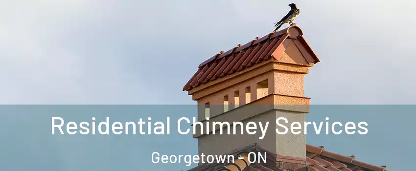 Residential Chimney Services Georgetown - ON