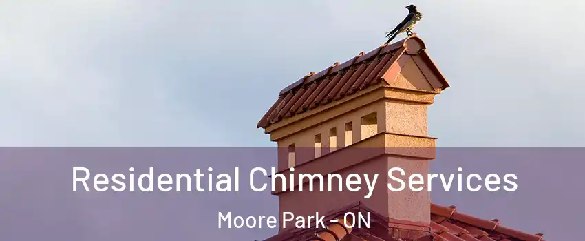  Residential Chimney Services Moore Park - ON