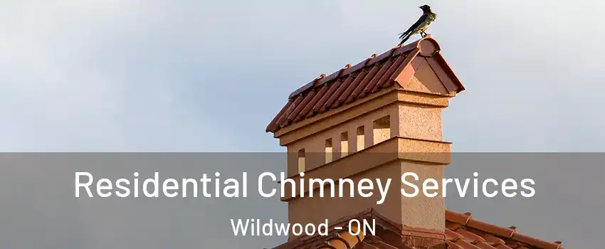 Residential Chimney Services Wildwood - ON