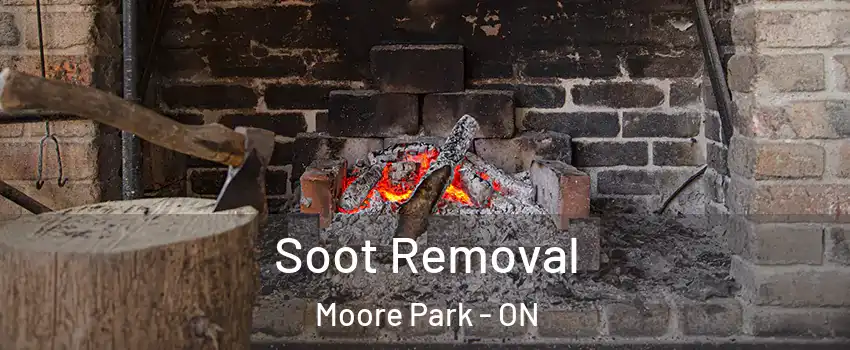 Soot Removal Moore Park - ON