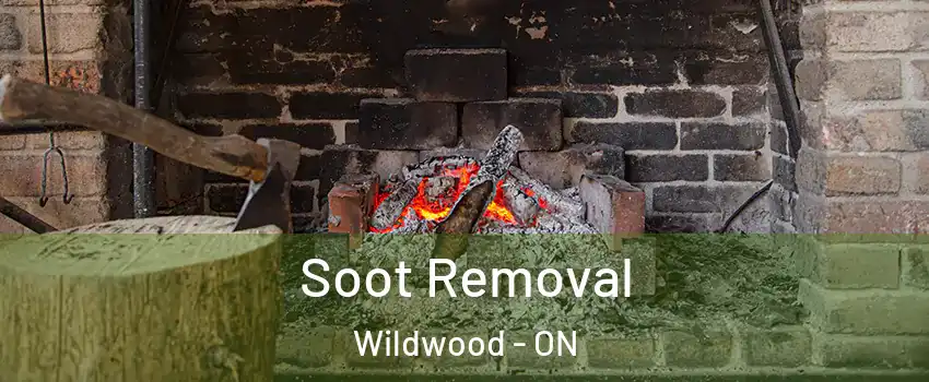 Soot Removal Wildwood - ON