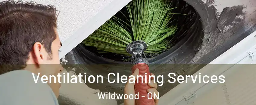 Ventilation Cleaning Services Wildwood - ON