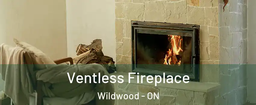  Ventless Fireplace Wildwood - ON
