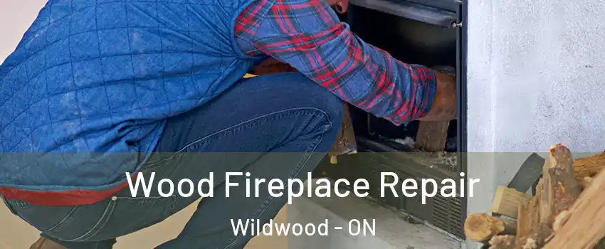 Wood Fireplace Repair Wildwood - ON