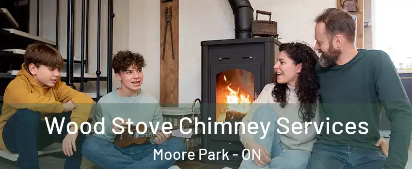 Wood Stove Chimney Services Moore Park - ON