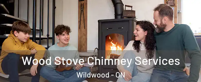 Wood Stove Chimney Services Wildwood - ON