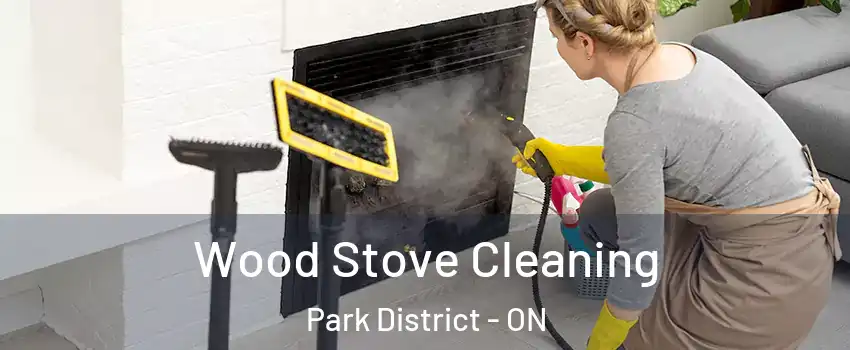Wood Stove Cleaning Park District - ON