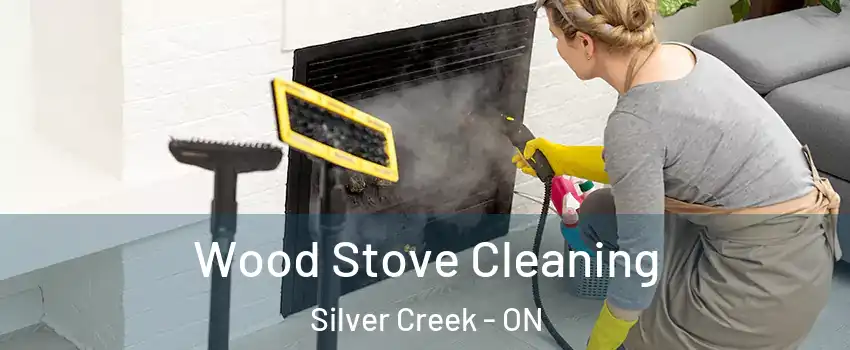 Wood Stove Cleaning Silver Creek - ON