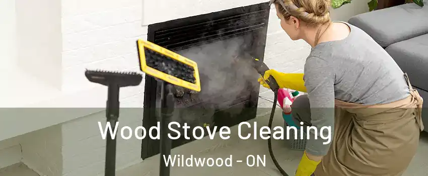 Wood Stove Cleaning Wildwood - ON