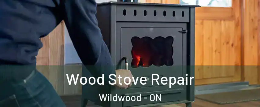 Wood Stove Repair Wildwood - ON